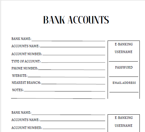 Budget and Financial Planner